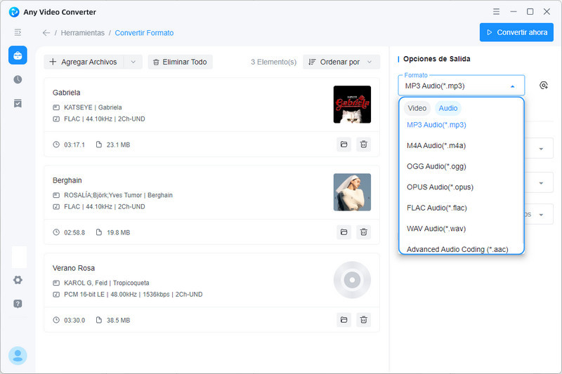 Any Video Converter convertir audio